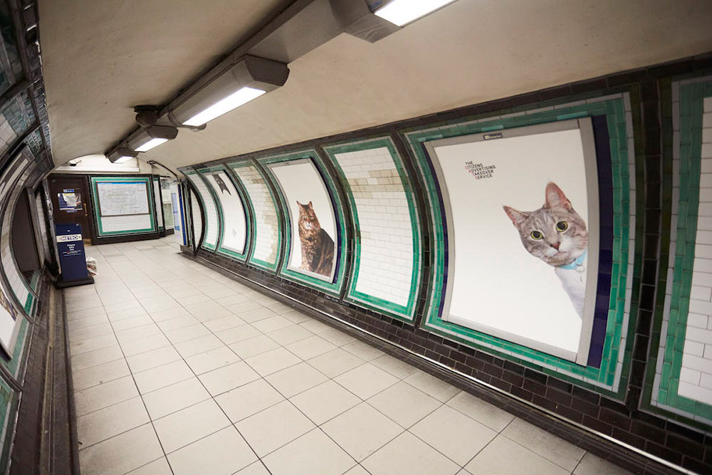 gatos metro londres