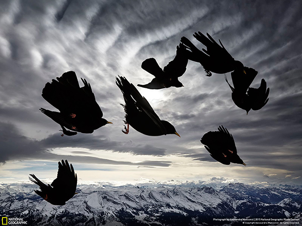National Geographic Photo Contest 2015 Alessandra Meniconzi
