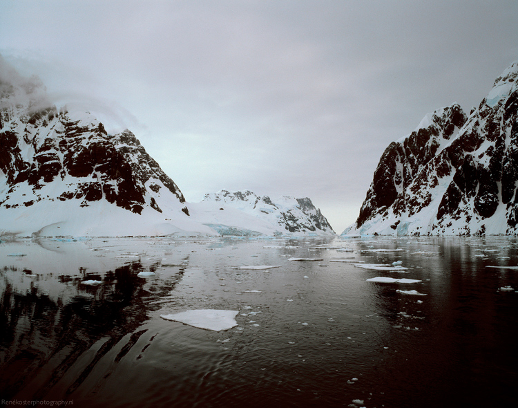 Rene Koster Antartica fotos