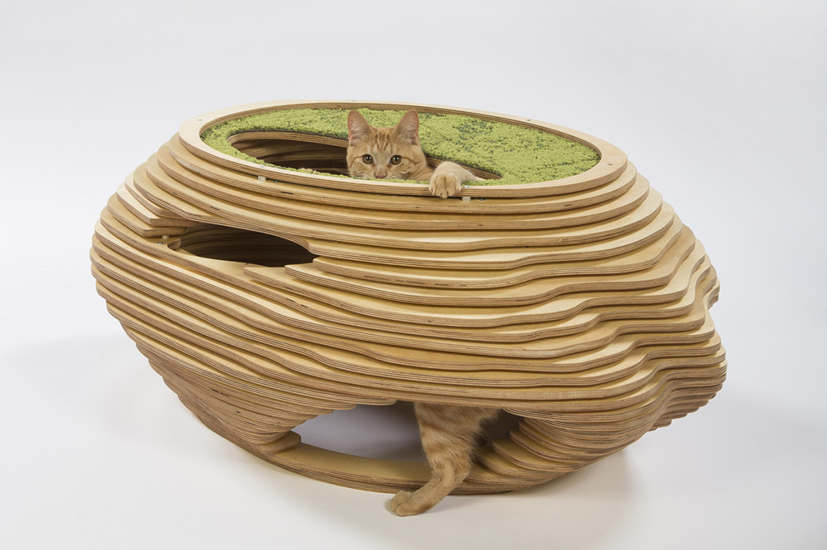 Abramson-Teiger-Architects-Cat-in-the-Fish-Bowl