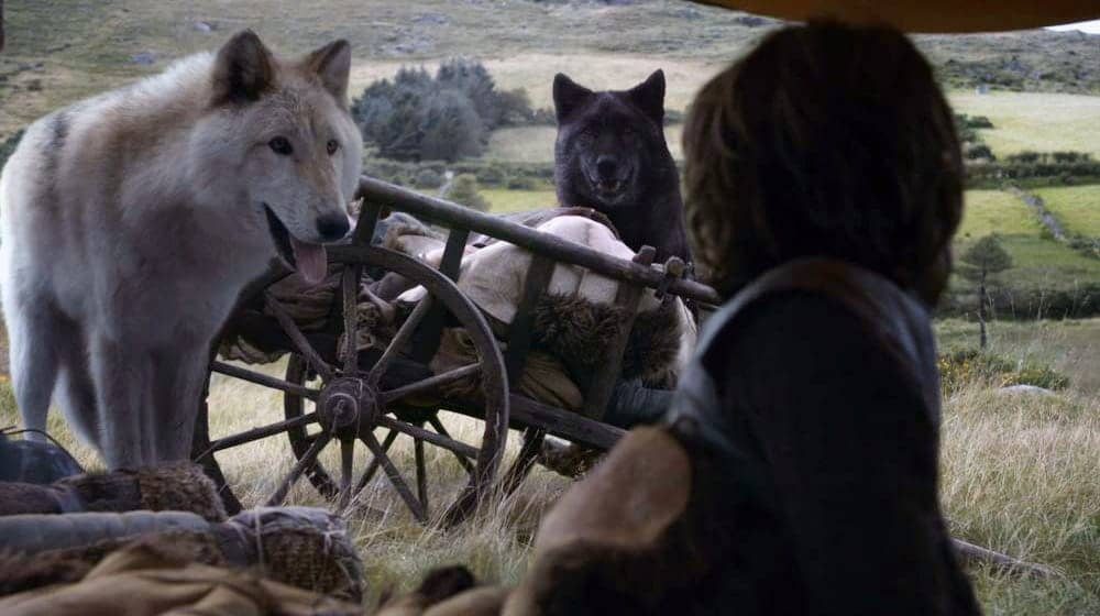Game of Thrones - Summer y Shaggydog