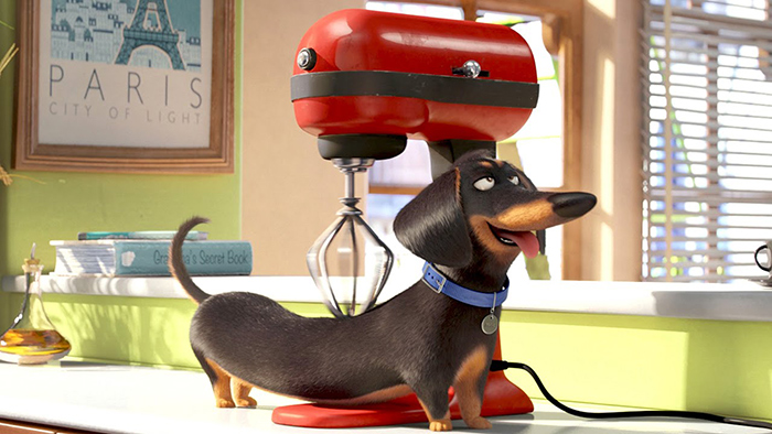 La vida secreta de tus mascotas Buddy