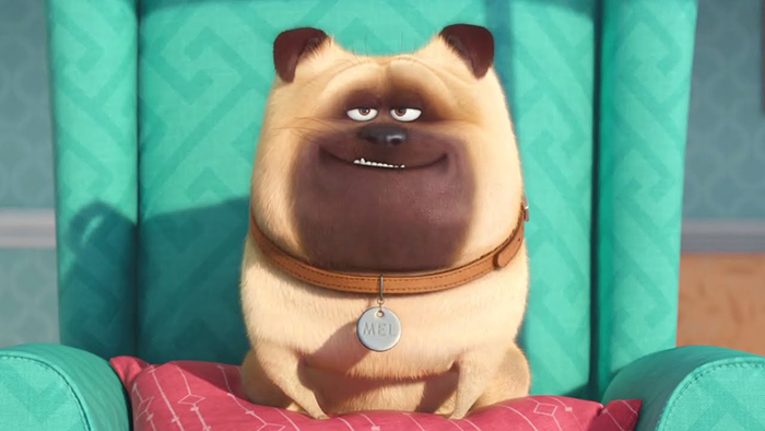 La vida secreta de tus mascotas Mel