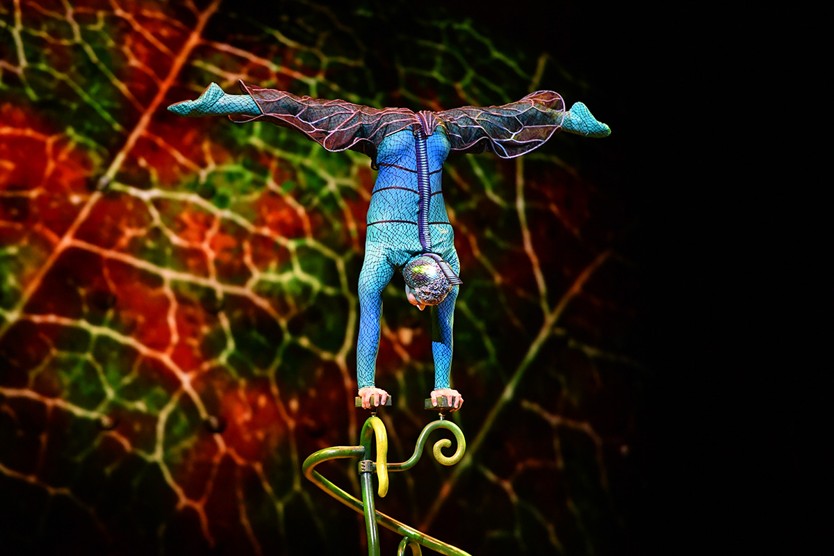 Cirque du Soleil